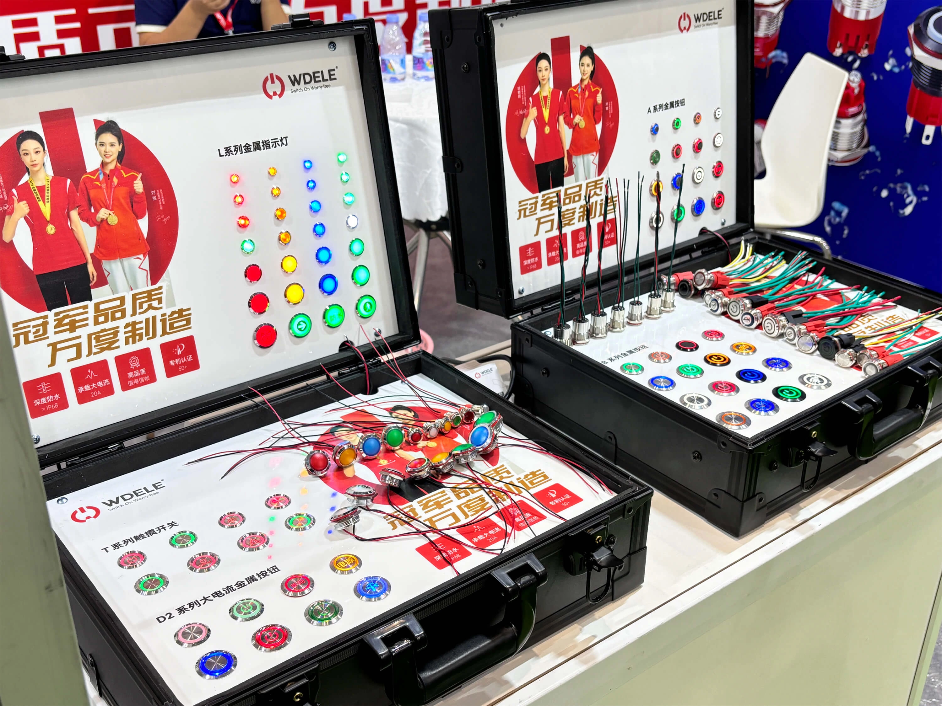 Mostra sui cavi di Shenzhen
