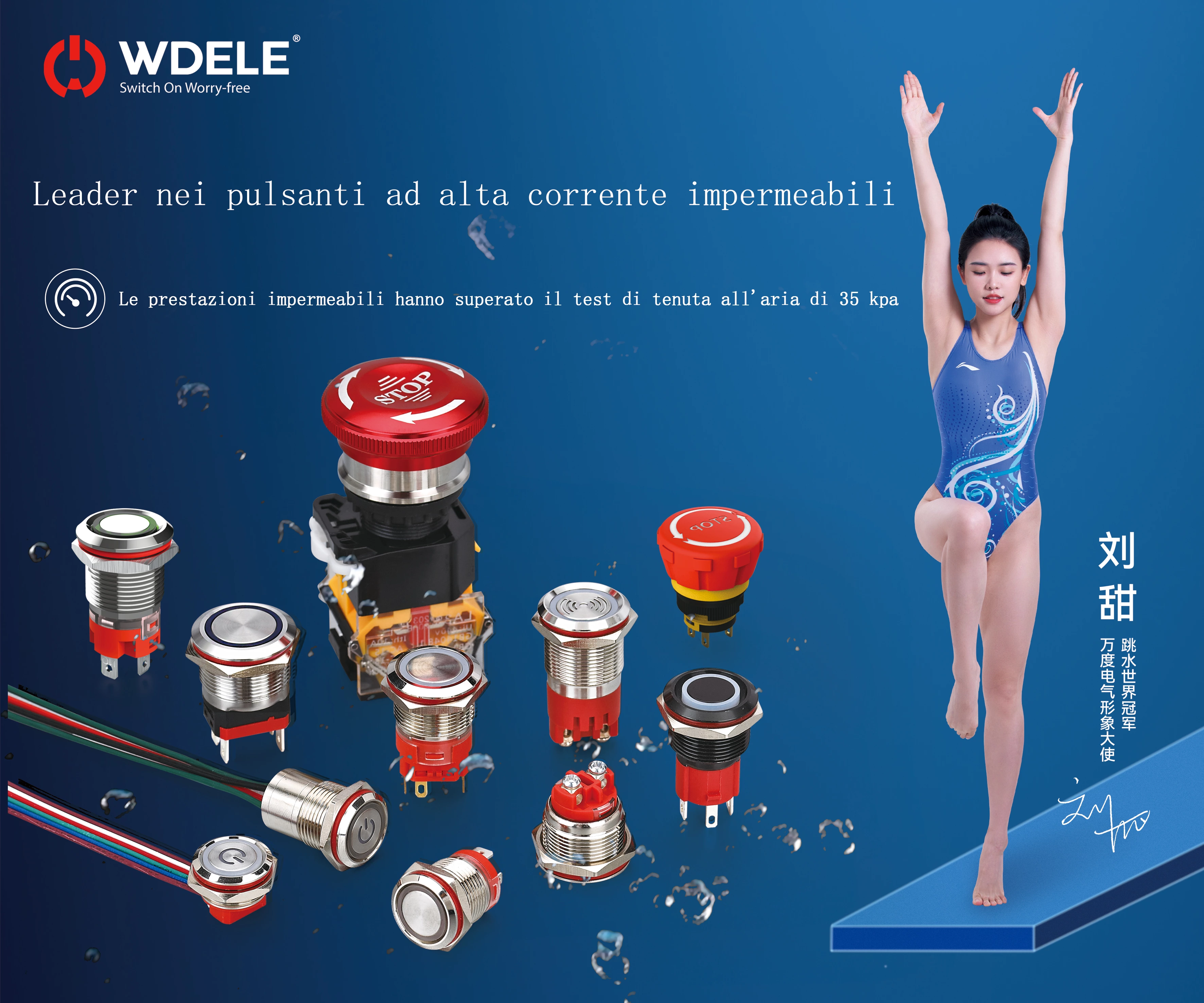 Zhejiang Wandu Electric Co., Ltd